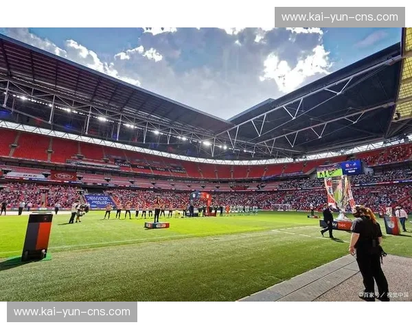 英足总就近期球迷冲入场内事件发布声明，强调将加强赛场安保。